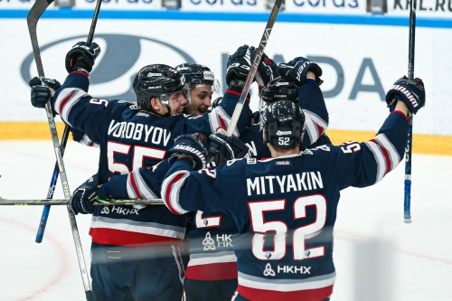 «Нефтехимик» гарантировал себе участие в плей-офф КХЛ