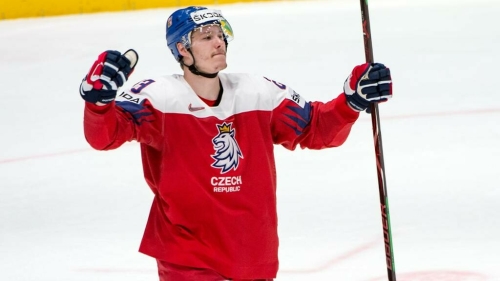 Дмитрий Яшкин высказался о критике своего выступления в КХЛ со стороны Федерации хоккея Чехии
