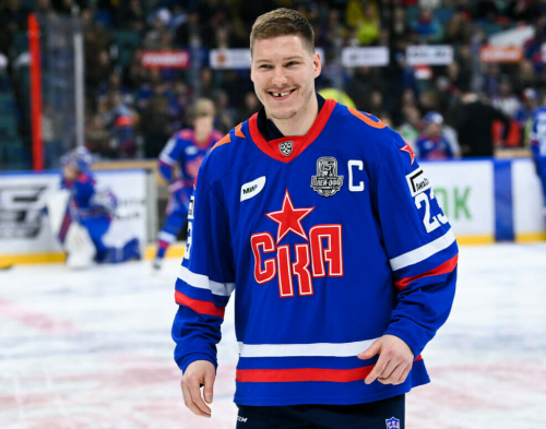 Дмитрий Яшкин стал хоккеистом «Ак Барса»
